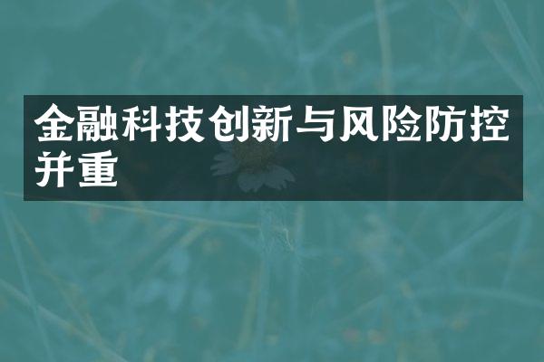 金融科技创新与风险防控并重