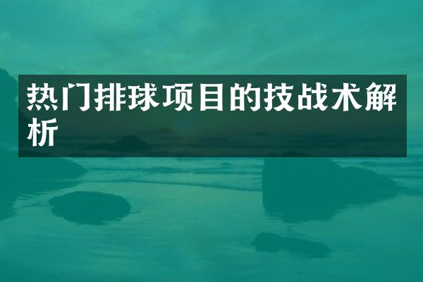 热门排球项目的技战术解析