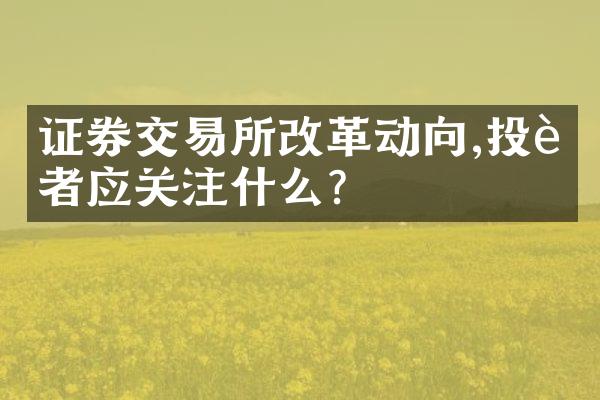 证券交易所动向,投资者应关注什么?