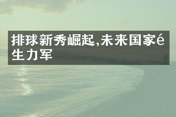 排球新秀崛起,未来国家队生力军