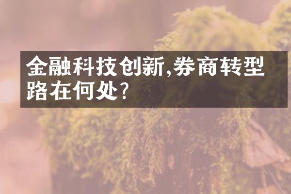 金融科技创新,券商转型之路在何处?