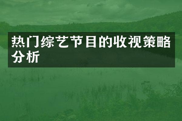 热门综艺节目的收视策略分析