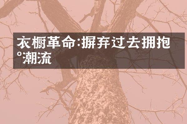 衣橱革命:摒弃过去拥抱新潮流