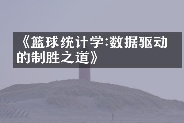 《篮球统计学:数据驱动下的制胜之道》