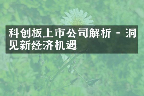 科创板上市公司解析 - 洞见新经济机遇