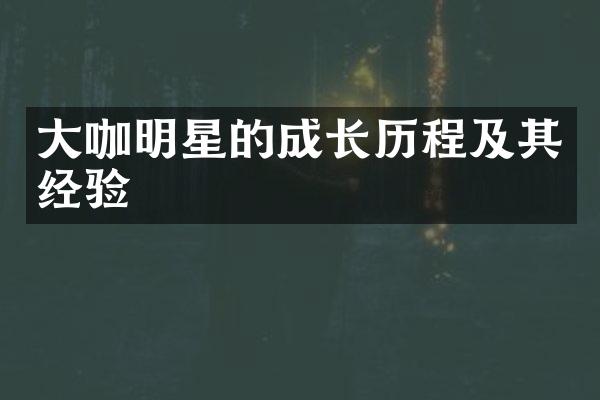 咖明星的成长及其经验