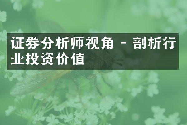 证券分析师视角 - 剖析行业投资价值