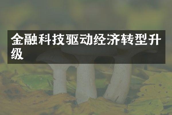 金融科技驱动经济转型升级