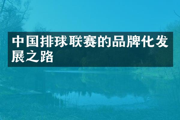 中国排球联赛的品牌化发展之路