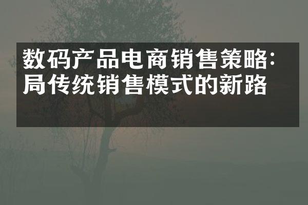 数码产品电商销售策略:破局传统销售模式的新路径