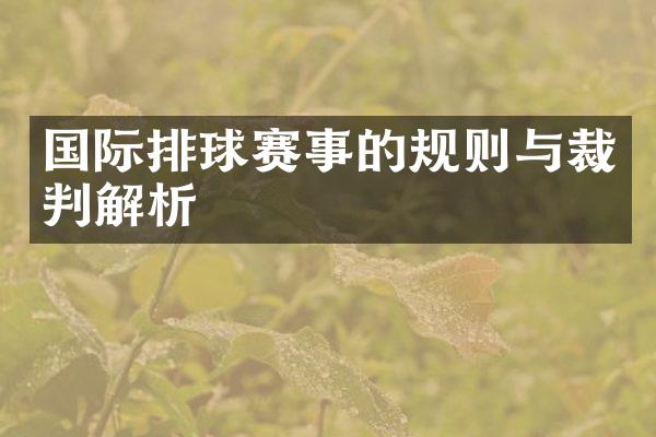 国际排球赛事的规则与裁判解析