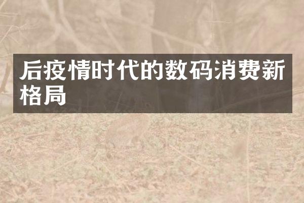 后疫情时代的数码消费新格局