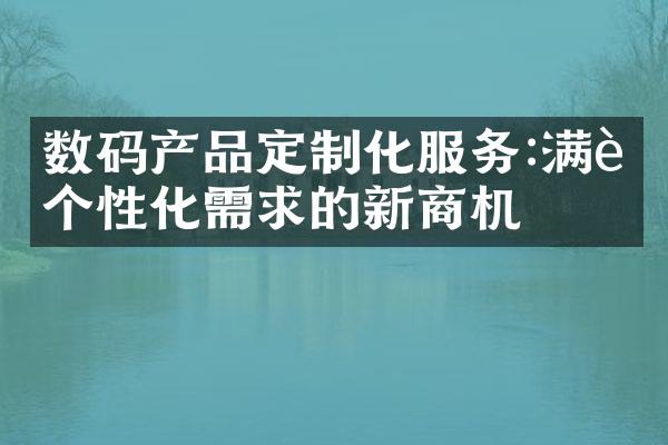 数码产品定制化服务:满足个性化需求的新商机