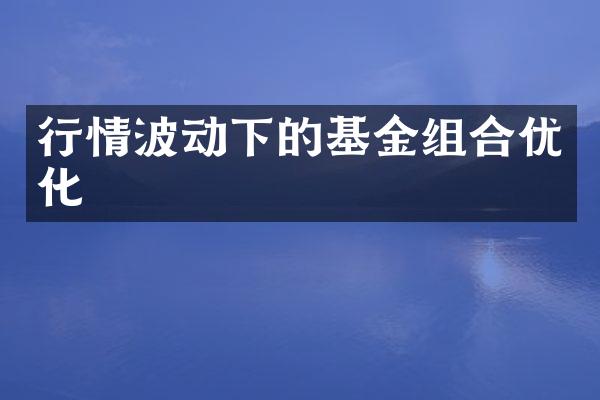 行情波动下的基金组合优化