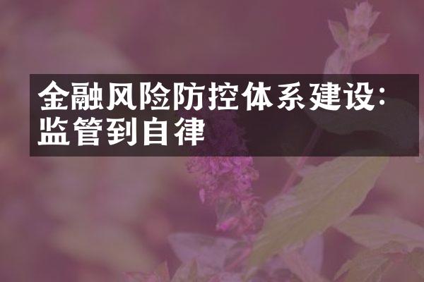 金融风险防控体系建设:从监管到自律