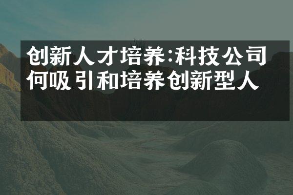 创新人才培养:科技公司如何吸引和培养创新型人才