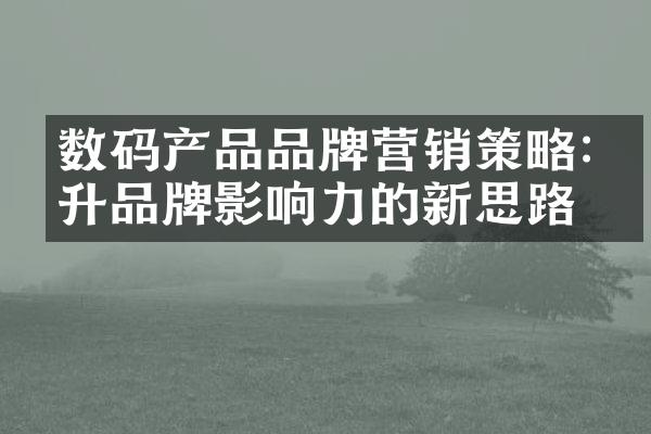 数码产品品牌营销策略:提升品牌影响力的新思路