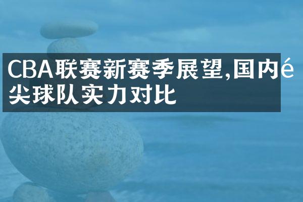 CBA联赛新赛季展望,国内顶尖球队实力对比