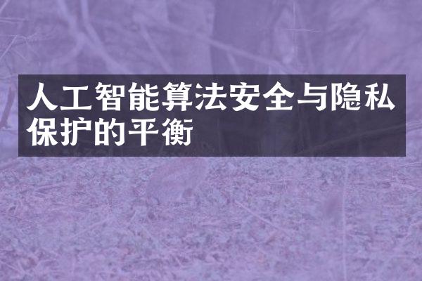 人工智能算法安全与隐私保护的平衡