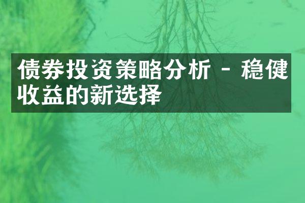 债券投资策略分析 - 稳健收益的新选择