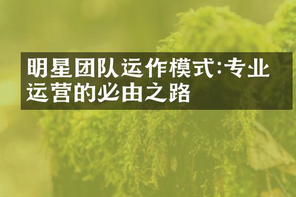 明星团队运作模式:专业化运营的必由之路