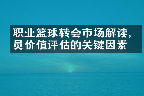 职业篮球转会市场解读,球员价值评估的关键因素