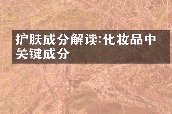 护肤成分解读:化妆品中的关键成分