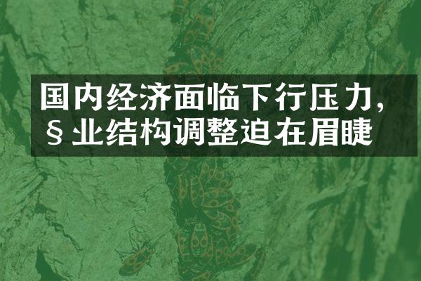 国内经济面临下行压力,产业结构调整迫在眉睫