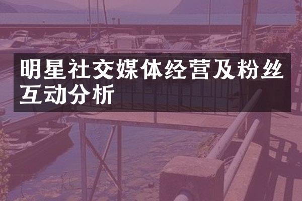 明星社交媒体经营及粉丝互动分析