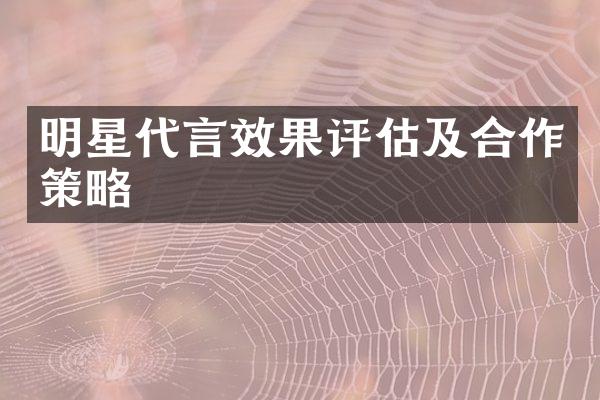 明星代言效果评估及合作策略