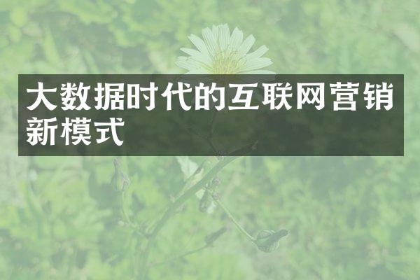 大数据时代的互联网营销新模式