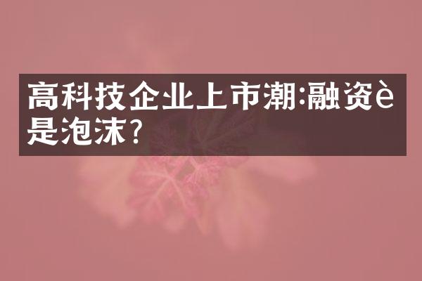 高科技企业上市潮:融资还是泡沫?