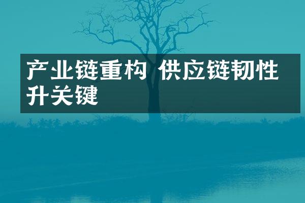 产业链重构 供应链韧性提升关键