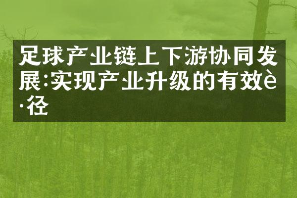 足球产业链上下游协同发展:实现产业升级的有效路径