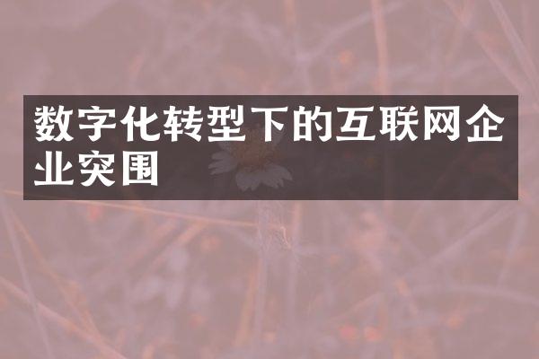 数字化转型下的互联网企业突围