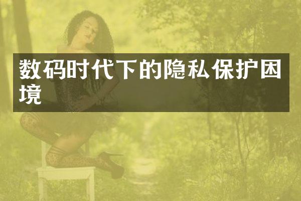 数码时代下的隐私保护困境