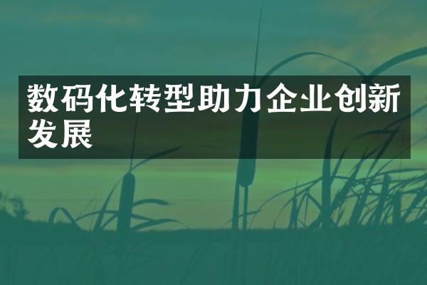 数码化转型助力企业创新发展