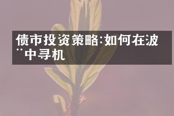 债市投资策略:如何在波动中寻机