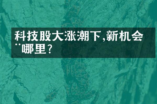 科技股涨潮下,新机会在哪里?