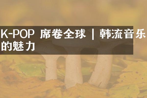 K-POP 席卷全球 | 韩流音乐的魅力