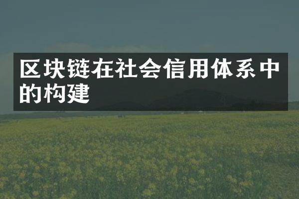 区块链在社会信用体系中的构建