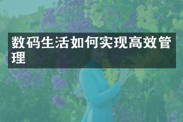 数码生活如何实现高效管理