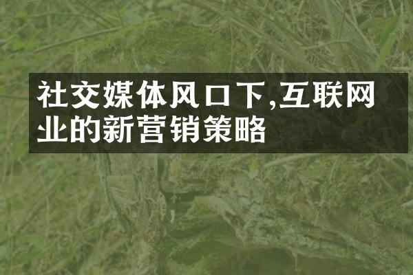 社交媒体风口下,互联网企业的新营销策略