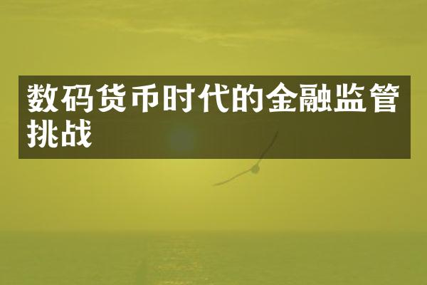 数码货币时代的金融监管挑战