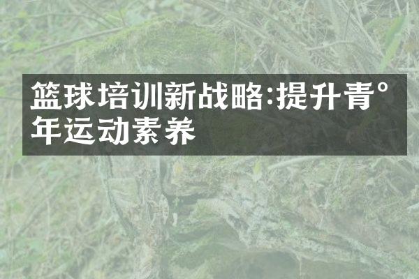 篮球培训新:提升青少年运动素养