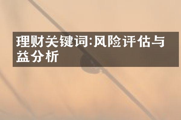 理财关键词:风险评估与收益分析