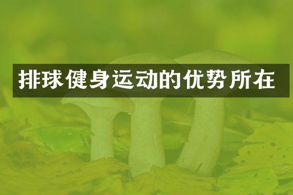 排球健身运动的优势所在