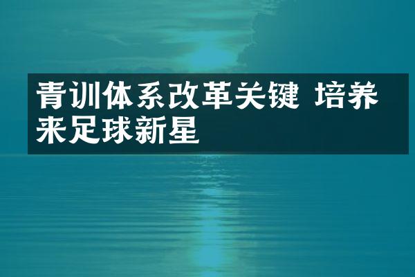 青训体系改革关键 培养未来足球新星