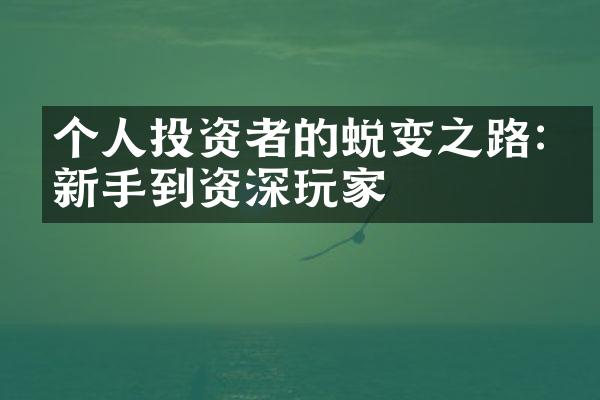 个人投资者的蜕变之路:从新手到资深玩家