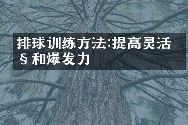 排球训练方法:提高灵活性和爆发力